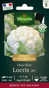 Chou-Fleur Locris HF1 - Graines d'Exception